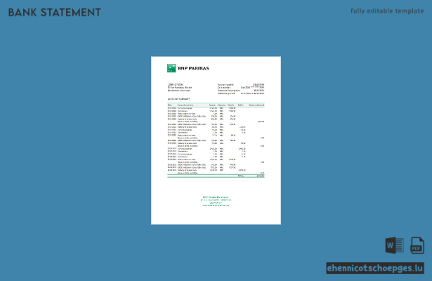 Mauretanien BNP Paribas Kontoauszug Excel-Beispielvorschau